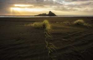 saeed khan global studies: a reader on issues and institutions