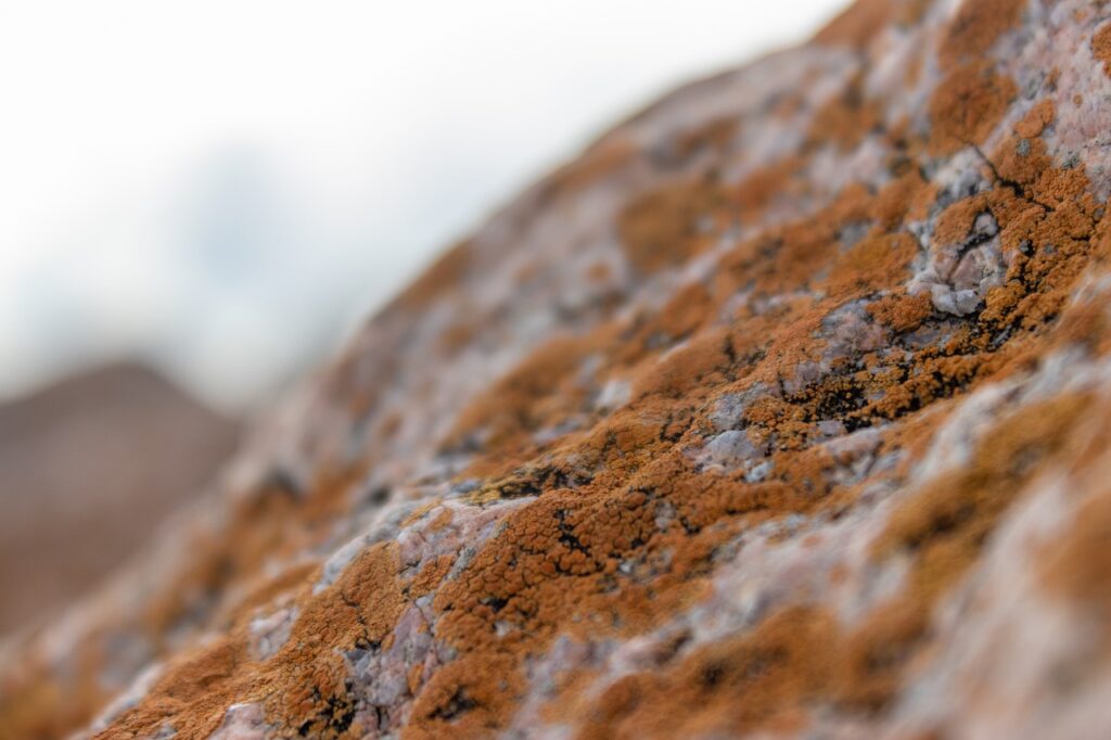 sarah j maas books publication order