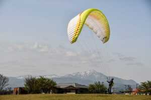 sarah j maas order to read