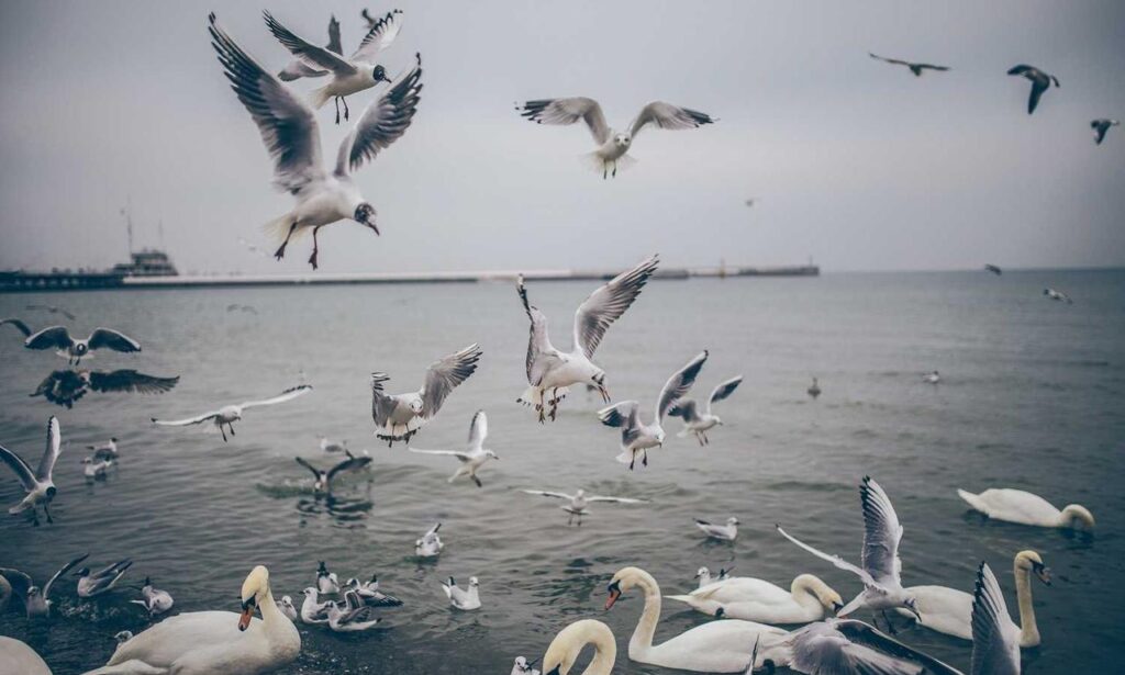 how to fix freezes in the innerlifthunt game