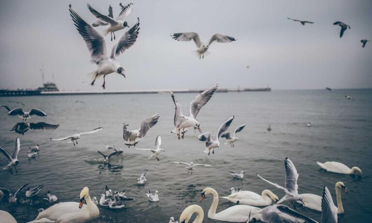 how to fix freezes in the innerlifthunt game