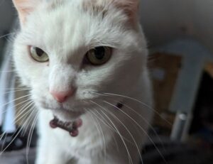 why lerakuty cave water so clear