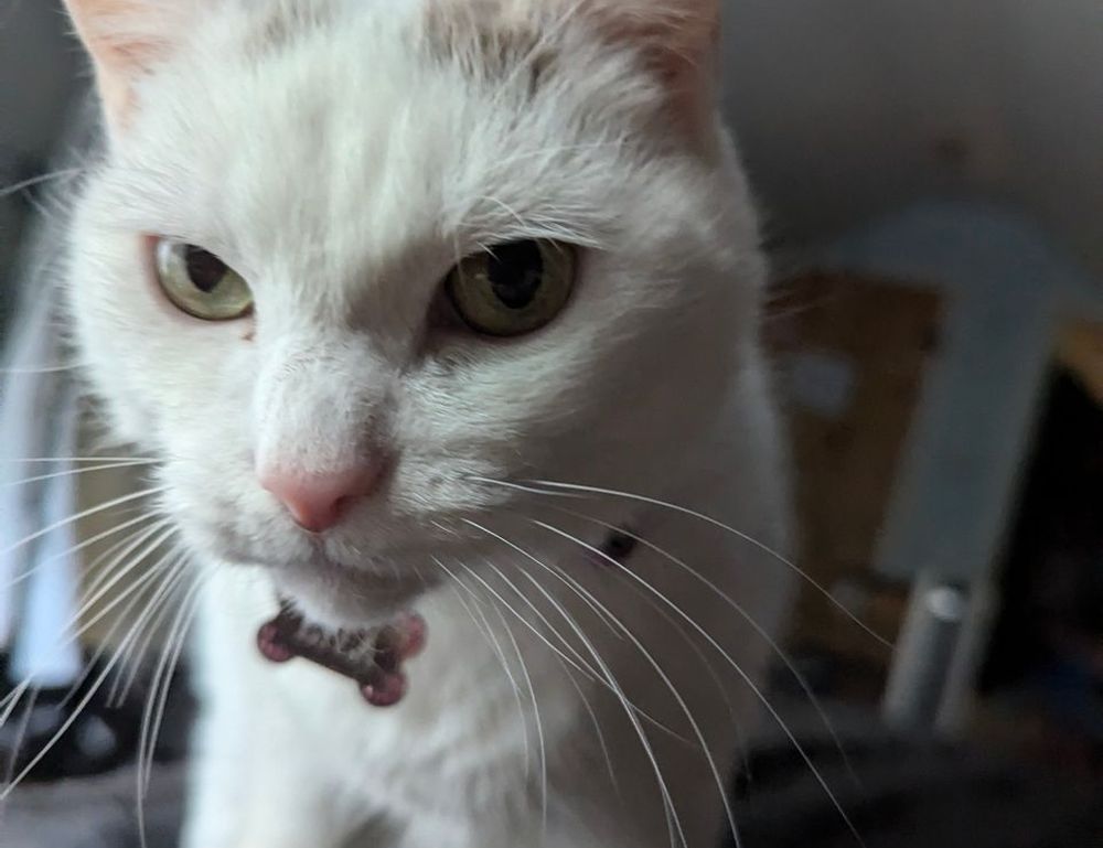 why lerakuty cave water so clear