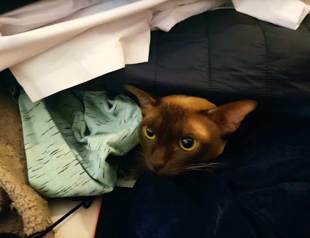 why upgrade immorpos35.3 software regularly