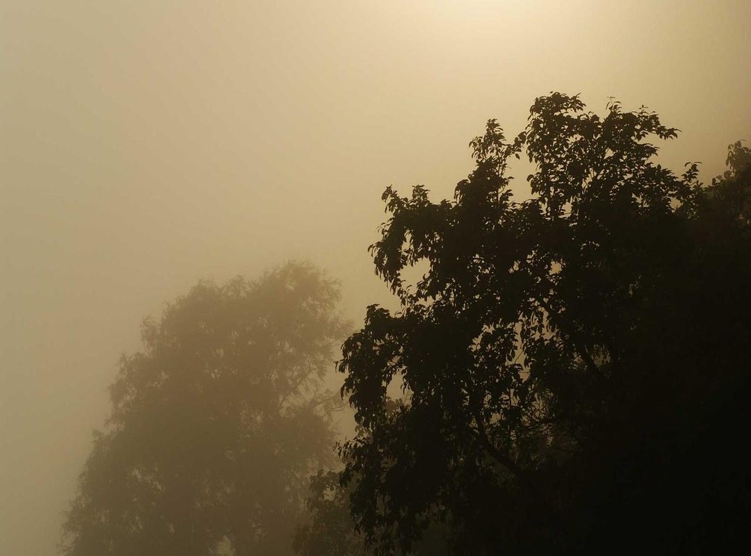 Best Ways to Convert Soles to Pesos: Comparing Your Options