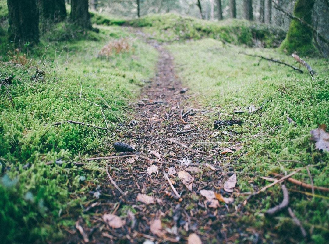 Troubleshooting Common Download & Installation Issues