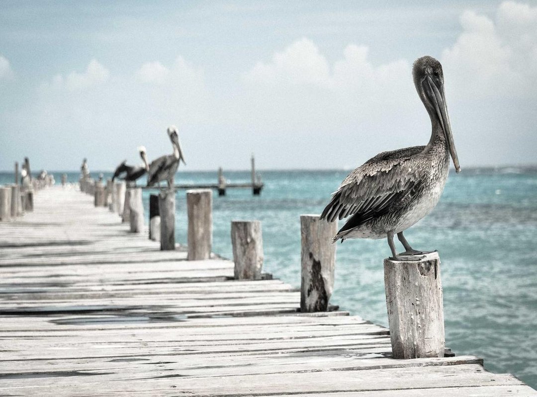 A Safety Checklist: 5 Things to Verify Before You Join