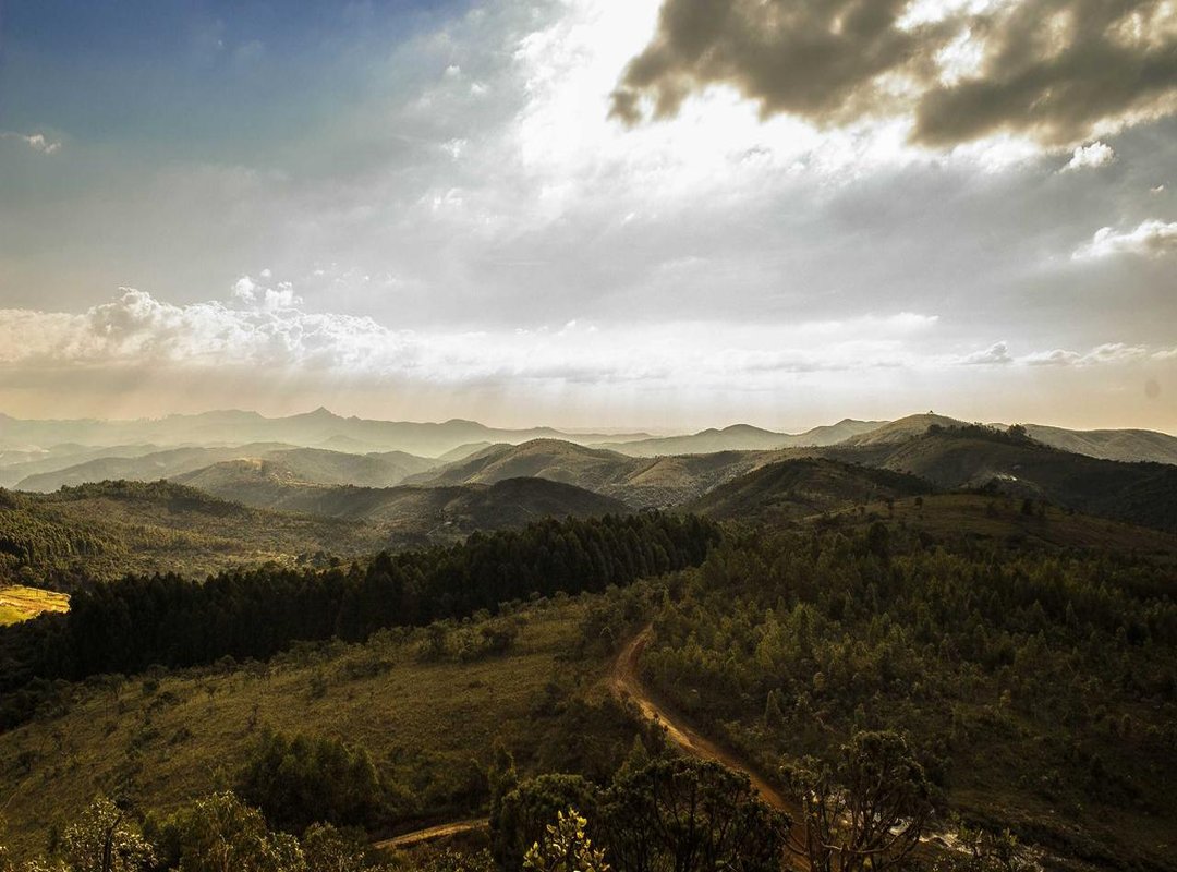 Peel-and-Stick vs. Traditional Paste: Which is Right For You?