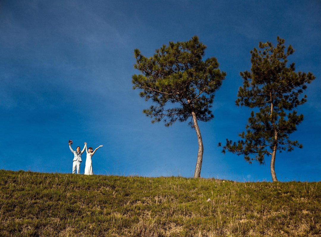 What We Know About Hugo Bachega's Background