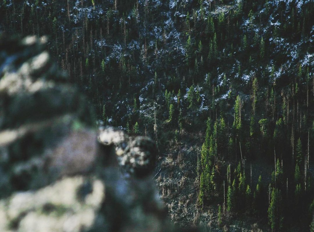 Mastering the Style: Your 5-Minute Daily Routine