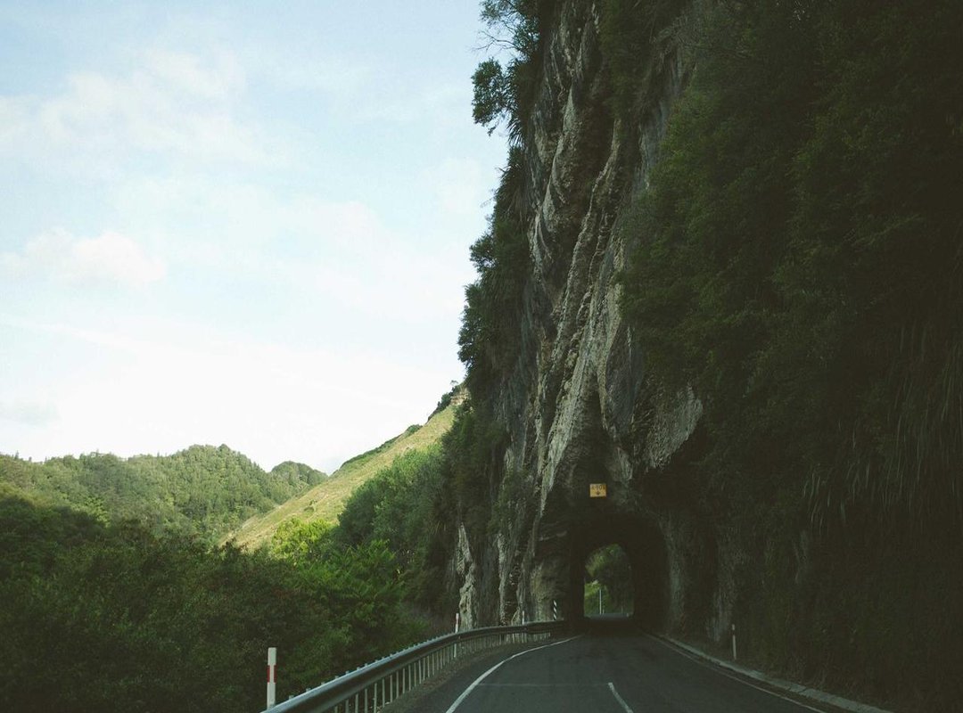 Inside the Store: What to Expect and What to Buy