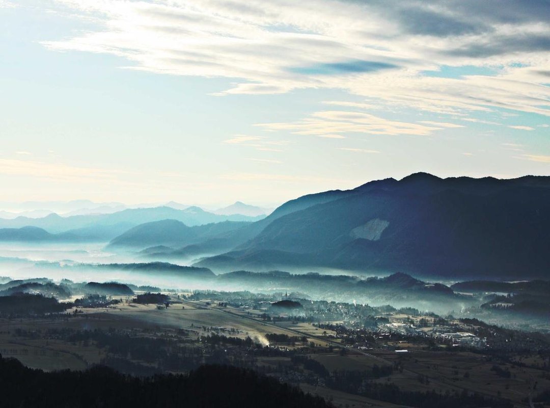 Strategic Placement: Where to Get Your Elegant Dragon Tattoo